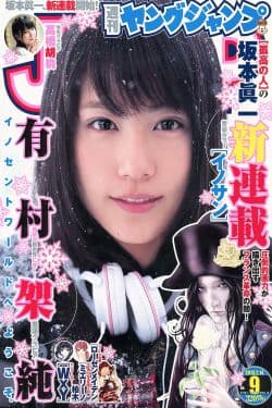 
有村架純 高橋胡桃  2013年No.09 写真杂志