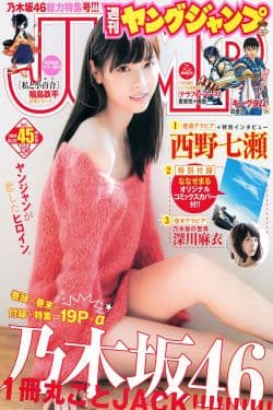 
西野七瀬 深川麻衣  2014年No.45 写真杂志
