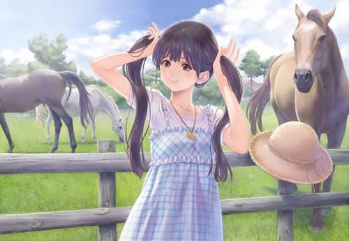 《双马尾娘》日本双马尾协会招聘100％纯二次元的女主角！