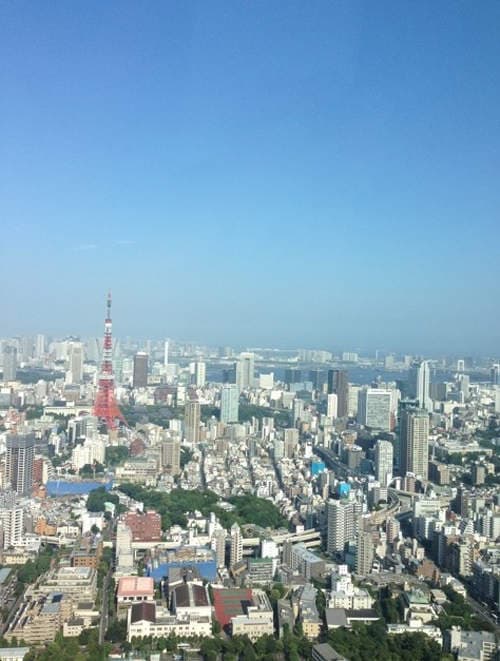 双马尾协会写真展　52楼观景台上的萌电波放送中~