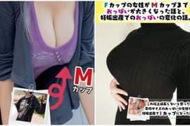 C95《巨乳成长谭本》自称宇宙第一热爱欧派的同人作者出本记录巨乳的成长过程＆形成原因