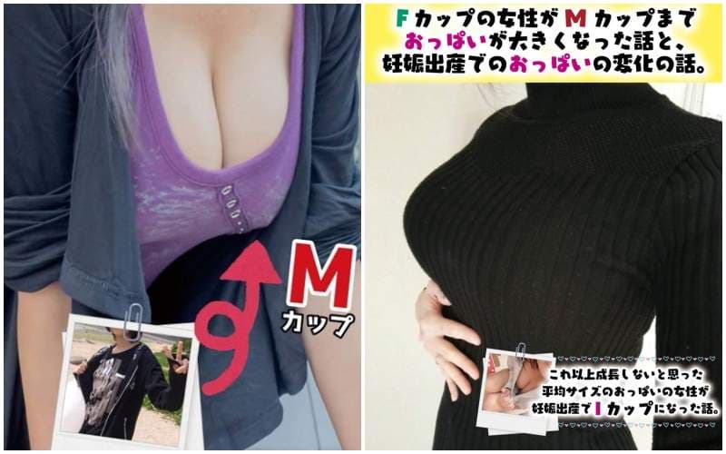 C95《巨乳成长谭本》自称宇宙第一热爱欧派的同人作者出本记录巨乳的成长过程＆形成原因