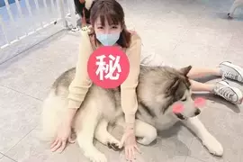 台湾〝Ｉ罩杯〞美胸正妹《Mia米亚亚》雪白欧派❤这乳压太强！