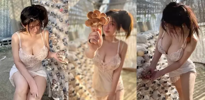 【有片】又大又白好Ｑ弹《豪乳女菇农》香汗淋漓浑身湿，朋友看了以后直呼难以忘怀…
