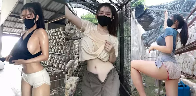 【有片】又大又白好Ｑ弹《豪乳女菇农》香汗淋漓浑身湿，朋友看了以后直呼难以忘怀…