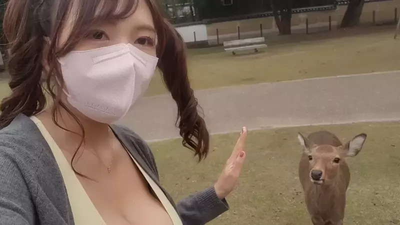 爆乳美女直击《奈良鹿公园》听说人要比动物凶，这样才不会在喂食的时候动口咬妳？