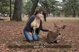 爆乳美女直击《奈良鹿公园》听说人要比动物凶，这样才不会在喂食的时候动口咬妳？