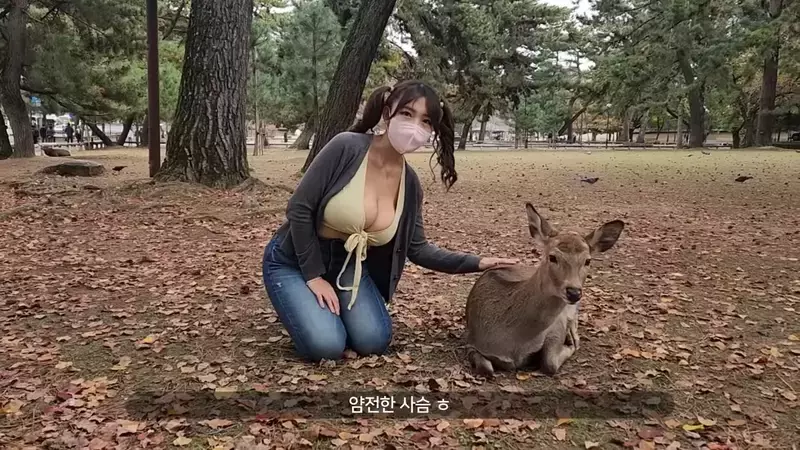 爆乳美女直击《奈良鹿公园》听说人要比动物凶，这样才不会在喂食的时候动口咬妳？