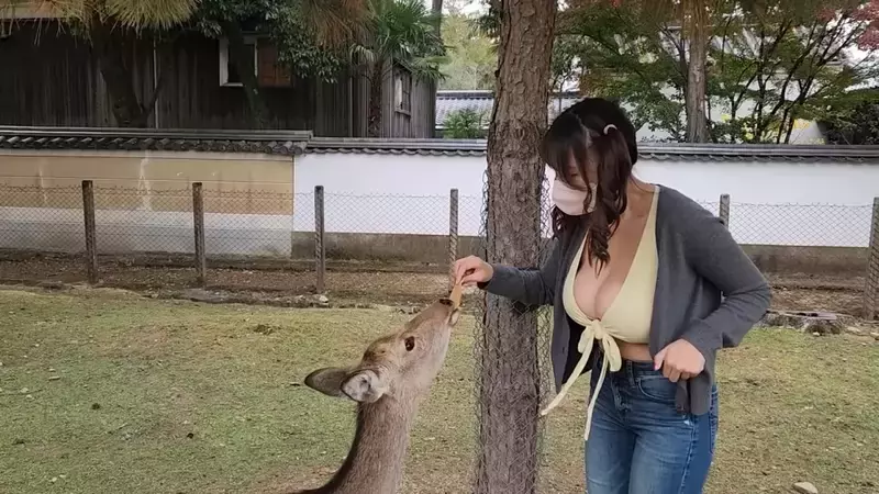 爆乳美女直击《奈良鹿公园》听说人要比动物凶，这样才不会在喂食的时候动口咬妳？