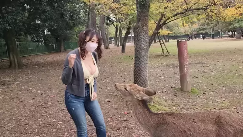 爆乳美女直击《奈良鹿公园》听说人要比动物凶，这样才不会在喂食的时候动口咬妳？
