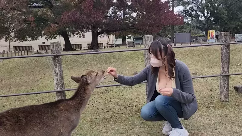 爆乳美女直击《奈良鹿公园》听说人要比动物凶，这样才不会在喂食的时候动口咬妳？