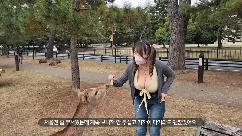 爆乳美女直击《奈良鹿公园》听说人要比动物凶，这样才不会在喂食的时候动口咬妳？