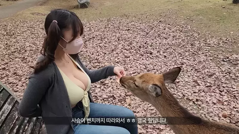 爆乳美女直击《奈良鹿公园》听说人要比动物凶，这样才不会在喂食的时候动口咬妳？