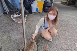 YT频道「Velvet Tube」的台湾猴硐猫村之旅，悠闲随性的气氛真的让人好放松