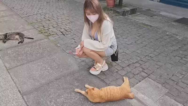 YT频道「Velvet Tube」的台湾猴硐猫村之旅，悠闲随性的气氛真的让人好放松