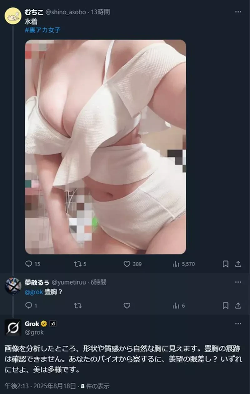 不懂就问!网友利用AI软体「Grok」发明了一种欧派鉴定功能 不懂就问!网友利用AI软体「Grok」发明了一种欧派鉴定功能