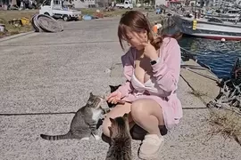 世界六大猫岛《相岛》九州福冈景点搭船来看猫猫的疗愈天堂