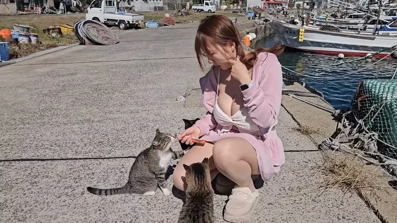 世界六大猫岛《相岛》九州福冈景点搭船来看猫猫的疗愈天堂