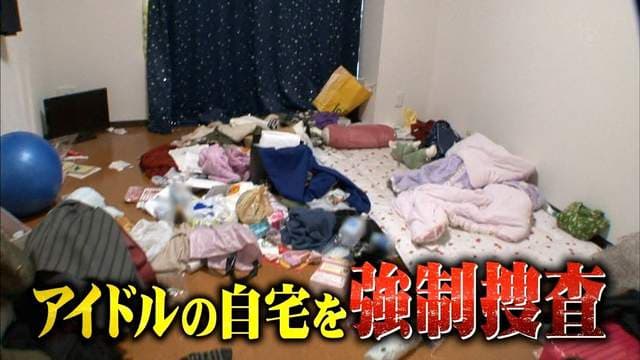 《写真女星的闺房大直击》应该就是香香而且一尘不染的感觉吧