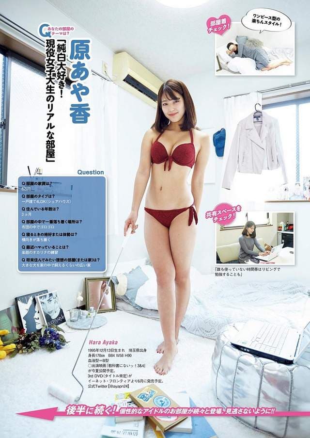 《写真女星的闺房大直击》应该就是香香而且一尘不染的感觉吧