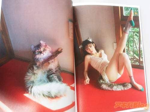 《如果猫变成可爱妹子的话》喵的勒这种写真我还不屌买一波吗