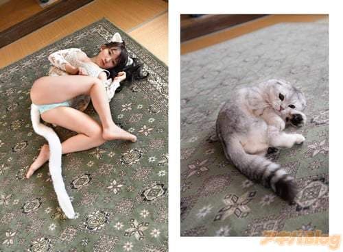 《如果猫变成可爱妹子的话》喵的勒这种写真我还不屌买一波吗