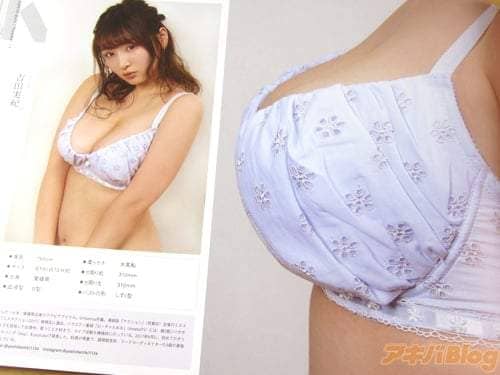 《原吋大欧派图鉴》摊开书页超壮观绝景就在你眼前 《原吋大欧派图鉴》摊开书页超壮观绝景就在你眼前