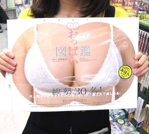 《原吋大欧派图鉴》摊开书页超壮观绝景就在你眼前 《原吋大欧派图鉴》摊开书页超壮观绝景就在你眼前