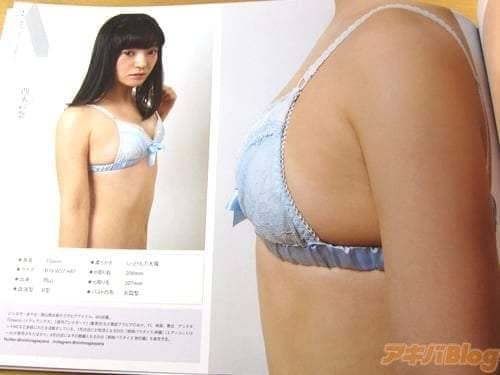 《原吋大欧派图鉴》摊开书页超壮观绝景就在你眼前 《原吋大欧派图鉴》摊开书页超壮观绝景就在你眼前