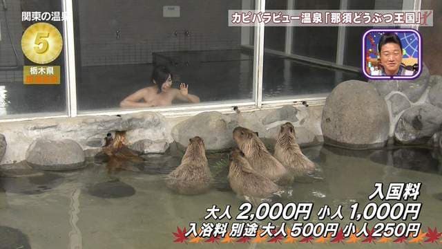 旅游节目玩很大《摄影师大秀遮三点神技》说好的温泉特集根本没人看温泉……