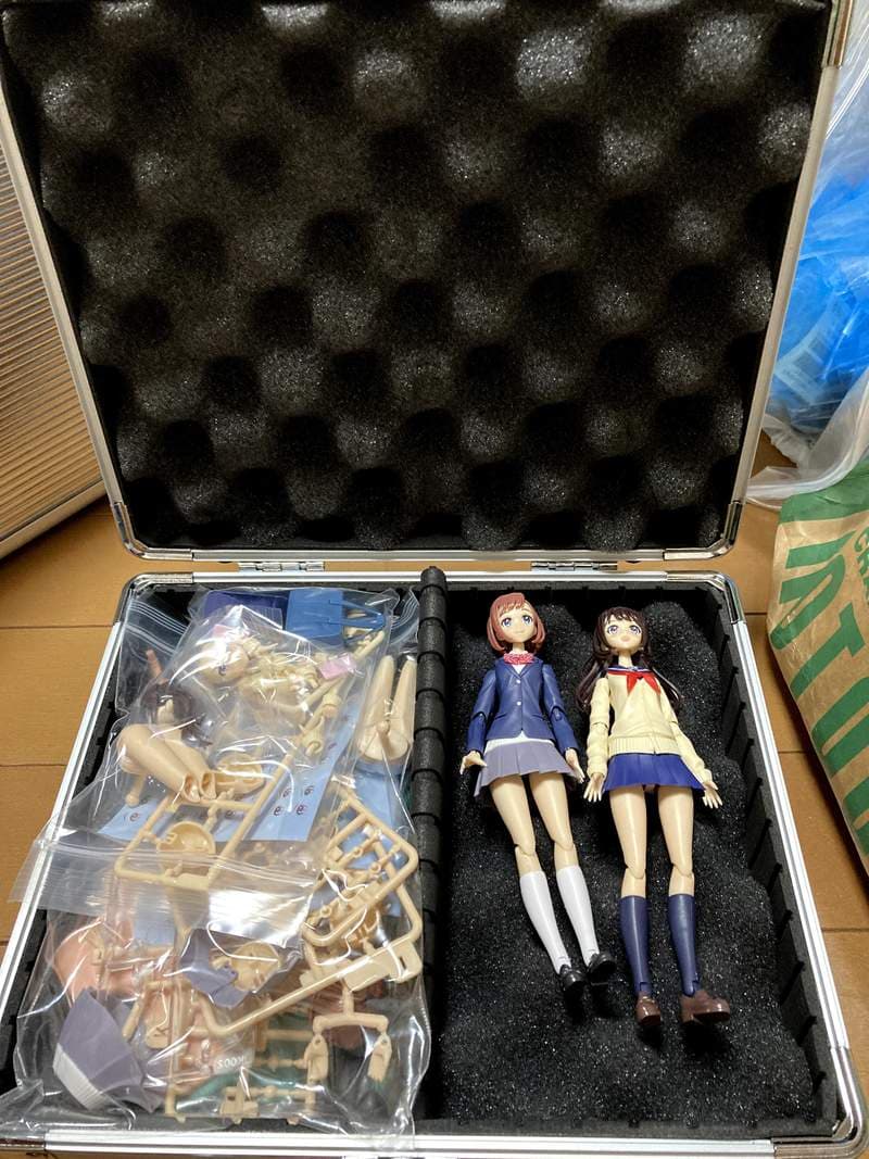 《爱玩钢普拉的写真女星东云うみ》询问有没有办法安全搬运模型？网友们集思广益反应超热烈
