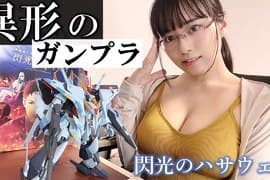 《爱玩钢普拉的写真女星东云うみ》询问有没有办法安全搬运模型？网友们集思广益反应超热烈