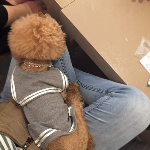 洋溢青春的《水手风穿搭》想要变年轻就搭上这股潮流吧♥