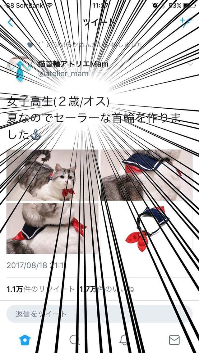 推特话题《水手服猫咪项圈》是青春酸酸甜甜的味道（？）