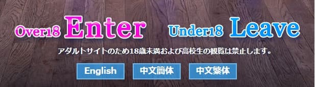 日本风俗体验影片网站介绍 Vol.6 :外国人对应的东京人气外送茶 GINGIRA TOKYO