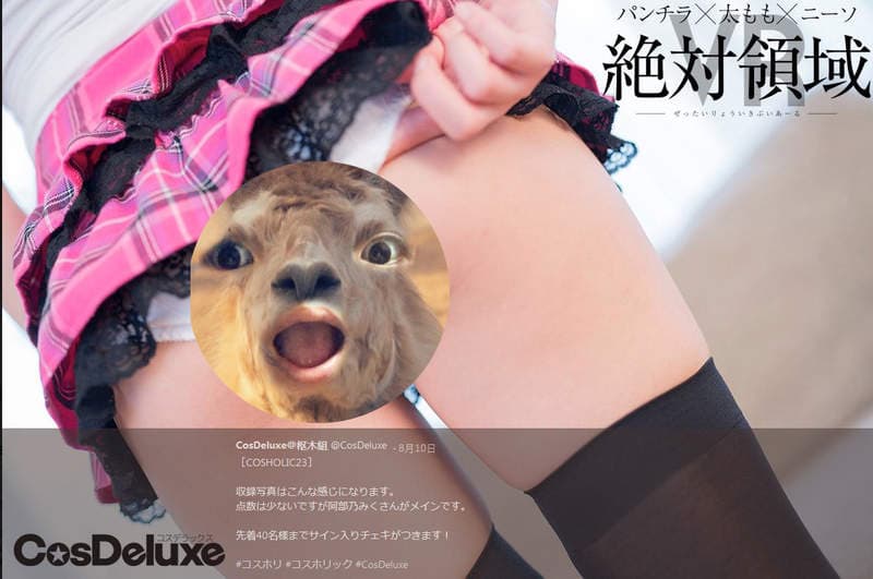 《绝对领域VR》美少女们静静的在你面前整理大腿袜