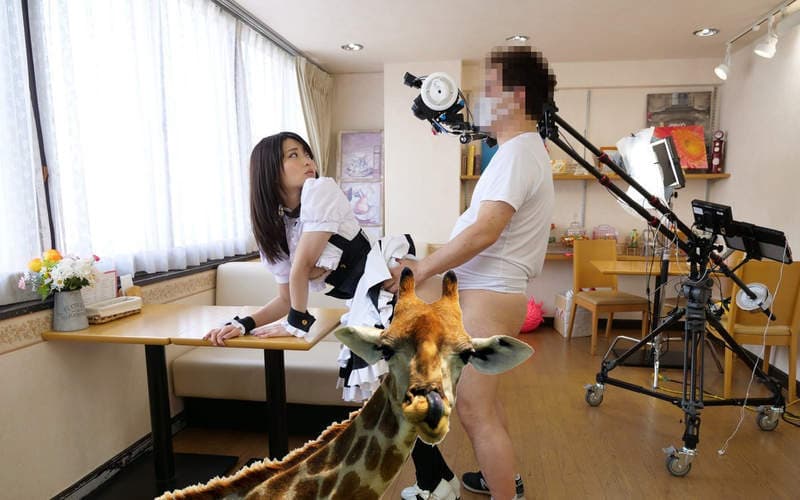 宅宅der《2018年度宅宅AVDay》回顾过去一年大家最关心的爱情动作片