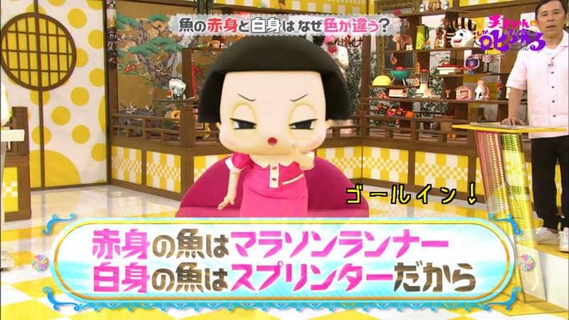《恶搞吉祥物AV》耻骨酱介绍18禁冷知识 AV女优佐仓绊示范给大家看……