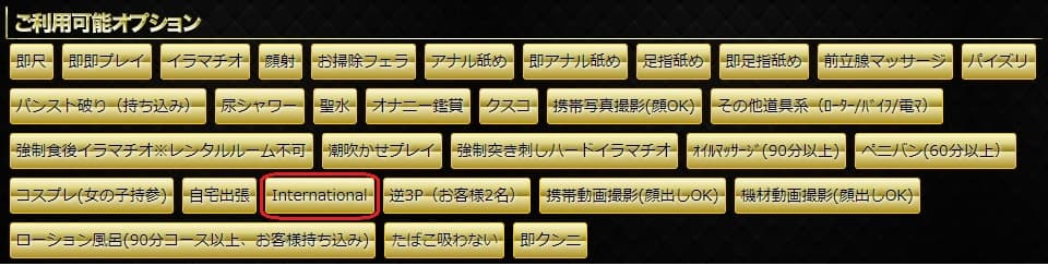 【东京・新宿】外国人对应外送茶「wow!?こんなの やりすぎサークル」