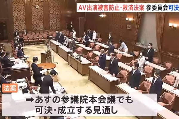 日本AV新法被批本末倒置女优都反对 AV达人：未来可能剩一类片可看