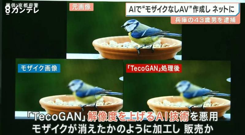 破解AV马赛克！日男靠AI技术「卖无码片」赚百万 涉侵权遭捕