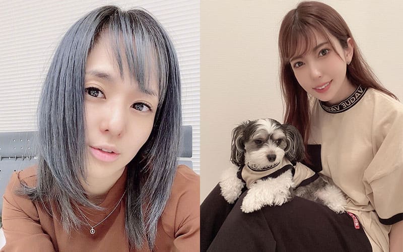 快收藏吧！日本AV新法禁止女优已经有开端，老师们快失业了