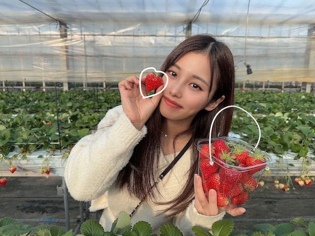 AV女优,AV产业,频道,单体女优,企划女优,个人女优